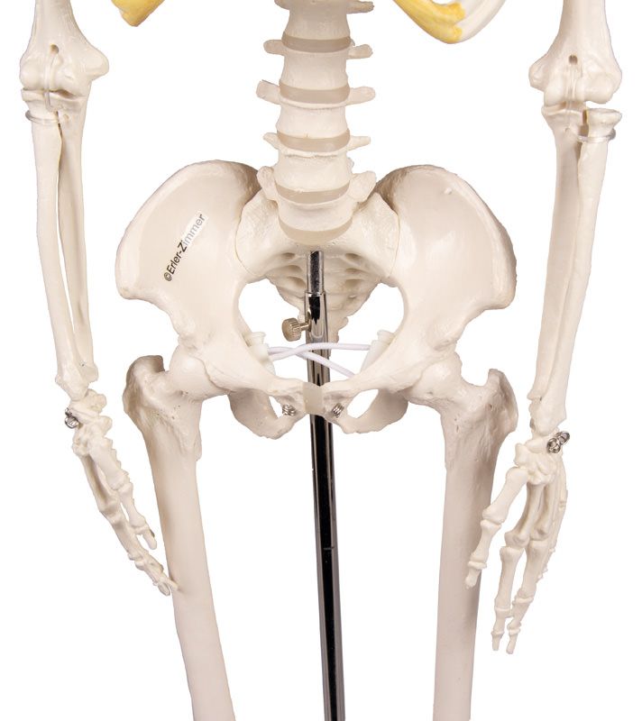 Odoo • Texte et Image