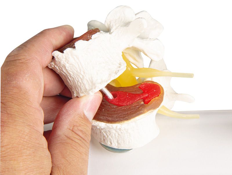 Odoo • Texte et Image