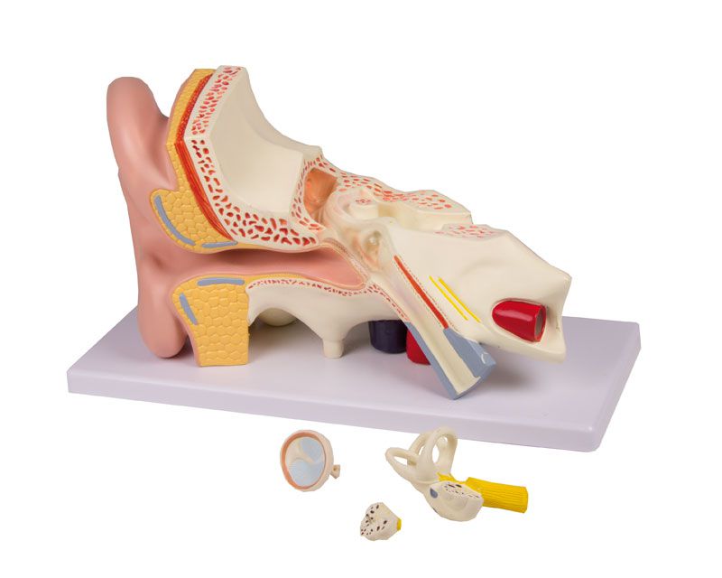 Odoo • Texte et Image