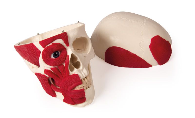 Odoo • Texte et Image