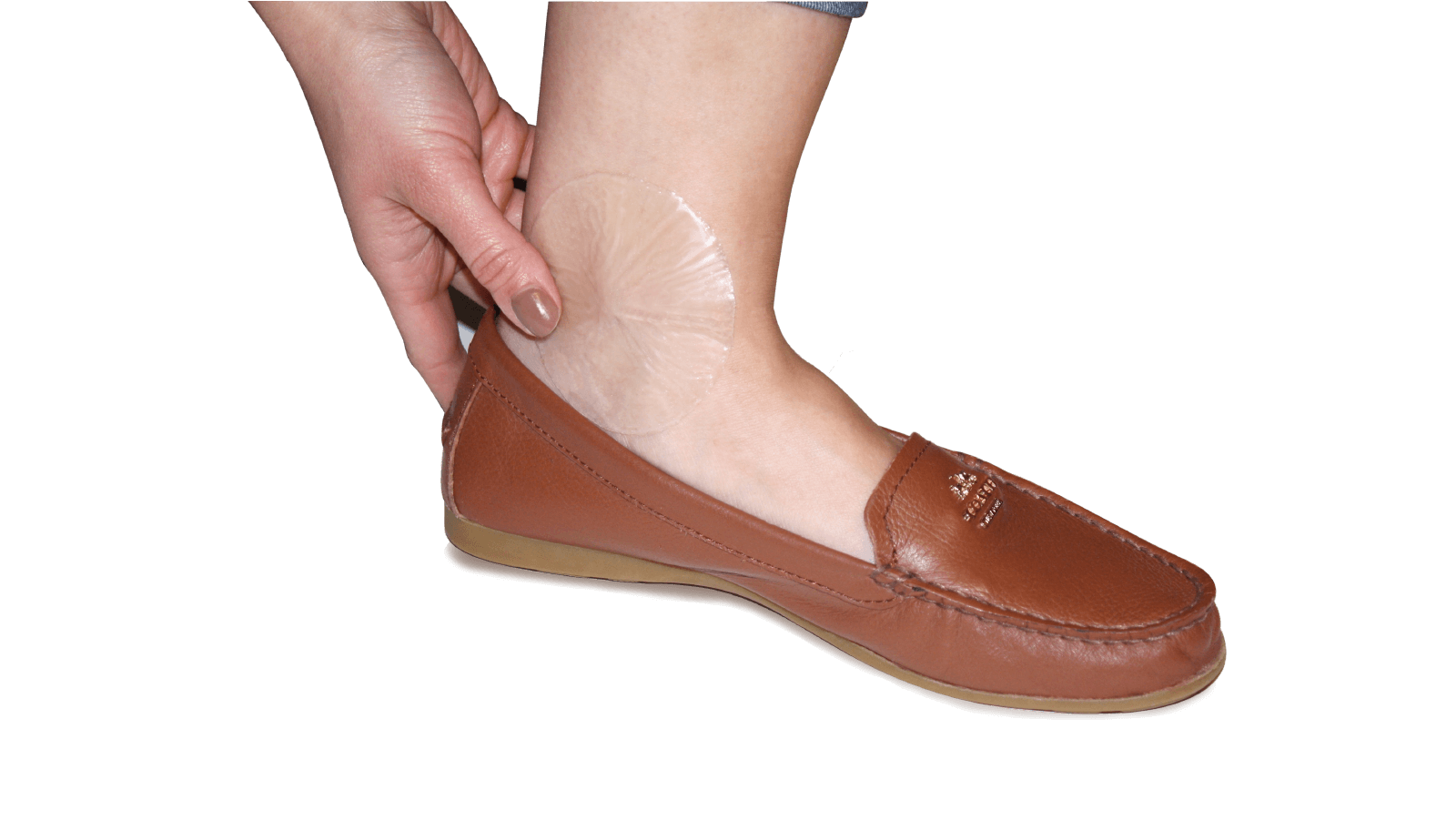 Odoo • Texte et Image