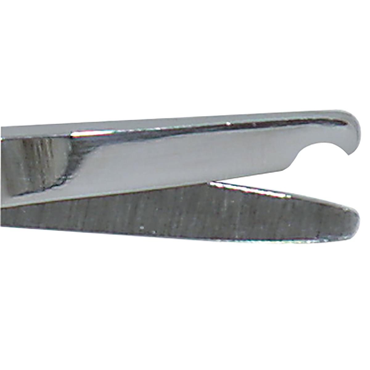 Odoo • Texte et Image