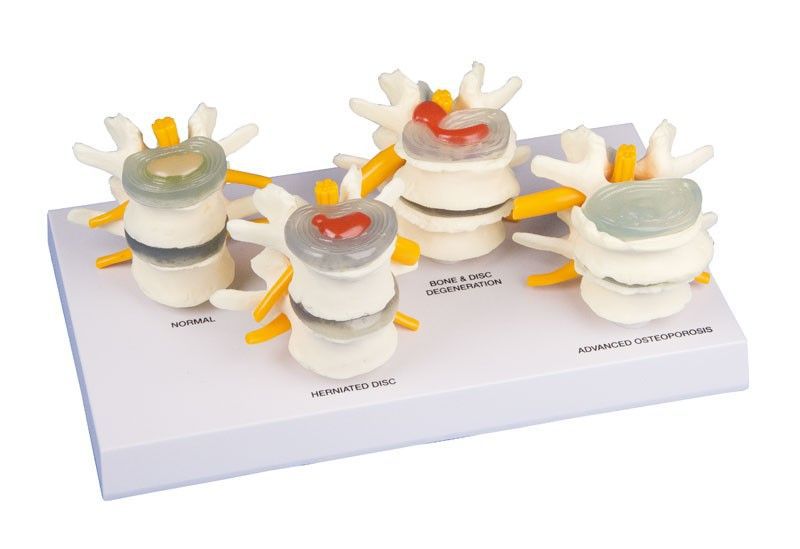 Odoo • Texte et Image