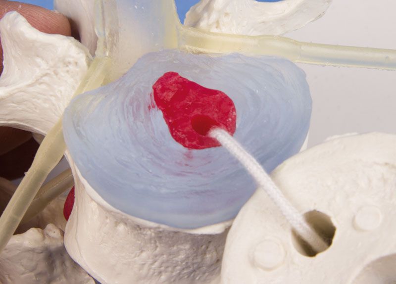 Odoo • Texte et Image