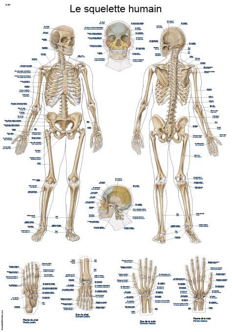 Odoo • Texte et Image