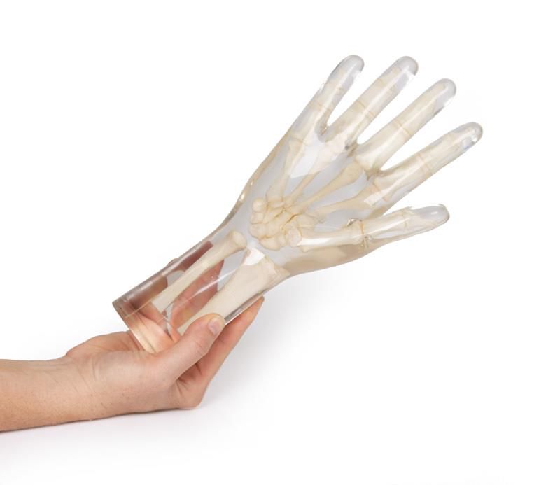 Odoo • Texte et Image