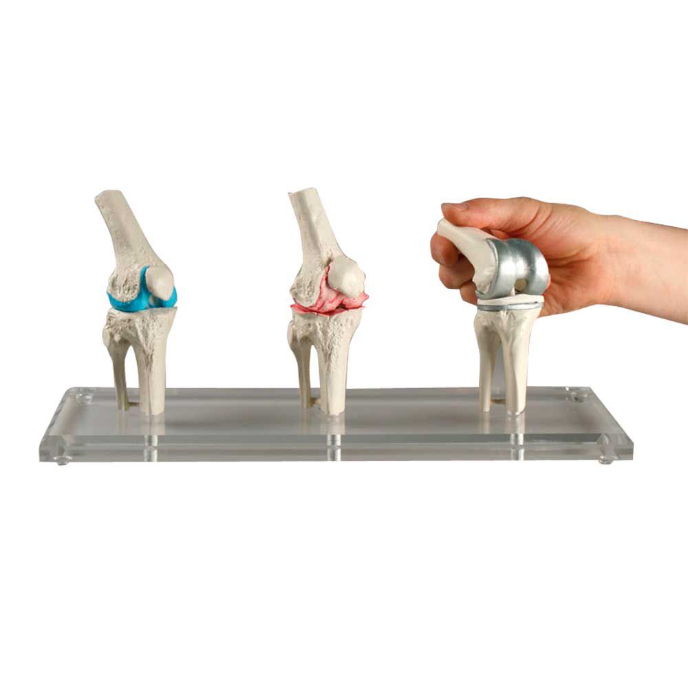 Odoo • Texte et Image