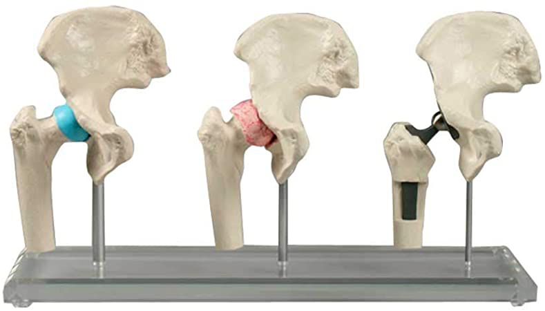 Odoo • Texte et Image