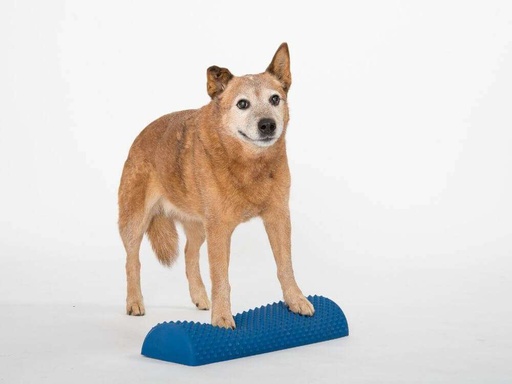 Senso inflatable balance beam - Animals